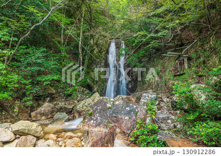 大津市北小松の名所　楊梅の滝（雌滝）　滋賀県 130912286