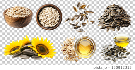 Sunflower seeds seed nut fruit kernel, many angles view pile heap bowl stack, fly scattered, cooking essential oil, shell husk, raw isolated on transparent cutout, PNG. Mockup template 130912313