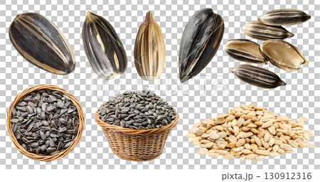 Sunflower seeds seed nut fruit kernel, many angles view side top pile stack, basket, with husk shell unshelled, raw isolated on transparent cutout, PNG. Mockup template 130912316