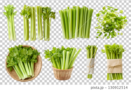 Celery celeries vegetable plant stem stalk, many angles view side top front basket slice chop bundle isolated on transparent cutout, PNG file. Mockup template 130912514