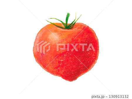 トマトイラスト tomato illustration vector 130913132