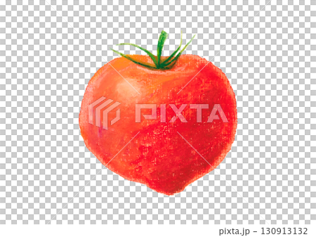 トマトイラスト tomato illustration vector 130913132