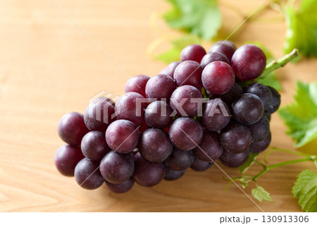 千葉県産巨峰 130913306