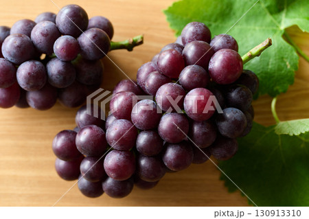 千葉県産巨峰 130913310