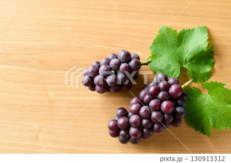 千葉県産巨峰 130913312