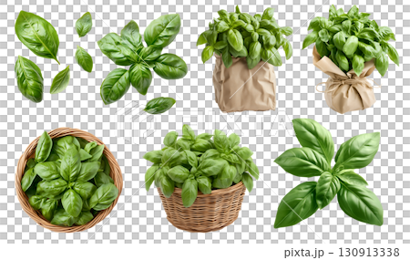 Basil leaf spice plant flavouring remedy herb, many angles view pile stack, basket bundle, brown paper wrap bag isolated on transparent cutout, PNG file. Mockup template 130913338