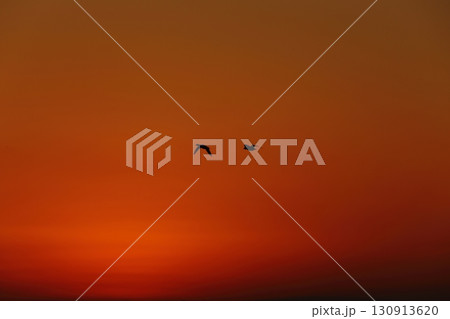 荒尾市　有明海　海岸　元旦の夕暮れ、 130913620