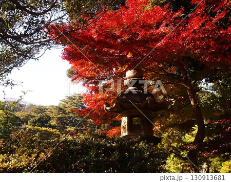 晩秋を迎えた六義園の風景 130913681