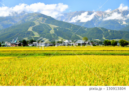 白馬村の風景/白馬八方尾根スキー場方面を望む(長野県白馬村)【2025.9】 白馬村の風景/白馬八方尾根スキー場方面を望む(長野県白馬村)【2025.9】 130913804