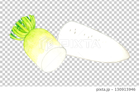 蘿蔔切成兩半蔬菜手繪水彩插畫素材 130913946