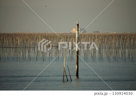 大牟田市 有明海 海苔畑、 大牟田市 有明海 海苔畑、 130914030
