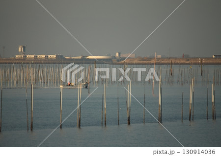 大牟田市　有明海　海苔畑、 130914036