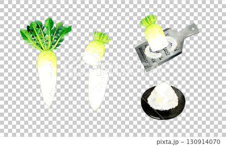 大根と大根おろしのセット　野菜・薬味の手描き水彩イラスト素材 130914070
