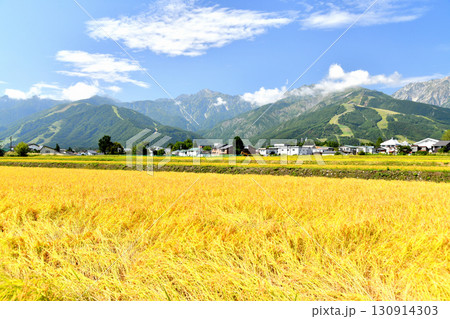白馬村の風景/五竜岳~白馬八方尾根スキー場方面を望む(長野県白馬村)【2025.9】 白馬村の風景/五竜岳~白馬八方尾根スキー場方面を望む(長野県白馬村)【2025.9】 130914303