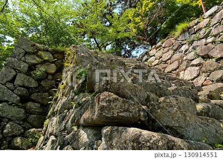 蒲生氏郷時代の石積が残る風景 130914551