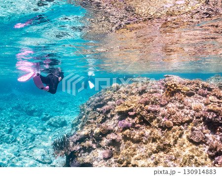 デバスズメダイ、ミスジリュウキュウスズメダイ他の群れ。巨大なサンゴ礁と熱帯魚の群れ。 沖縄県嘉比島 130914883