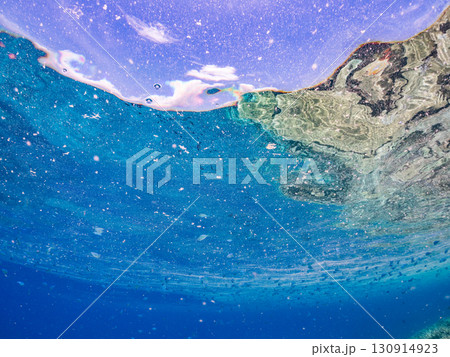 デバスズメダイ、ミスジリュウキュウスズメダイ他の群れ。巨大なサンゴ礁と熱帯魚の群れ。 沖縄県嘉比島 デバスズメダイ、ミスジリュウキュウスズメダイ他の群れ。巨大なサンゴ礁と熱帯魚の群れ。 沖縄県嘉比島 130914923