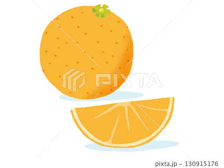 オレンジイラスト orange illustration vector 130915176