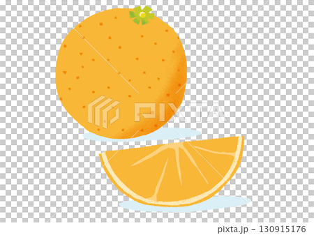 オレンジイラスト orange illustration vector 130915176