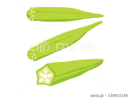 オクライラスト okra illustration vector 130915180