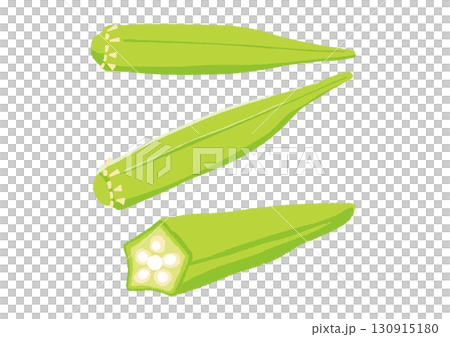 オクライラスト okra illustration vector 130915180