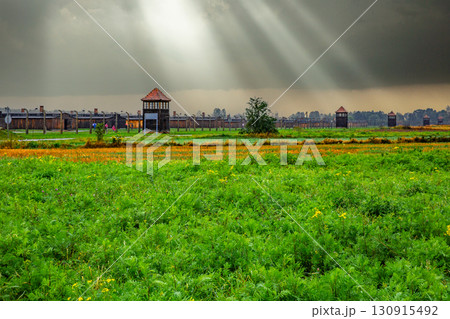 ビルケナウ強制収容所 ビルケナウ強制収容所 130915492