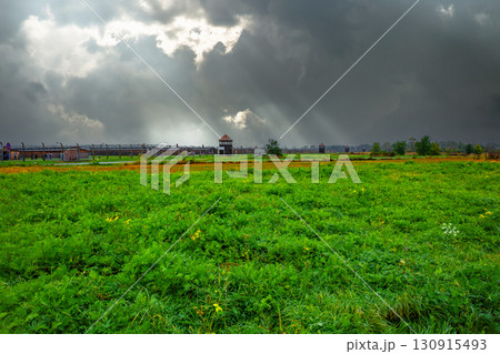 ビルケナウ強制収容所 ビルケナウ強制収容所 130915493