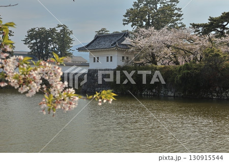 桜の季節に小田原城と周辺 130915544