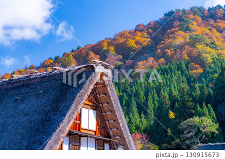 【世界遺産】紅葉真っ盛りの白川郷【岐阜県】 【世界遺産】紅葉真っ盛りの白川郷【岐阜県】 130915673