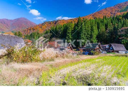 【世界遺産】紅葉真っ盛りの白川郷【岐阜県】 【世界遺産】紅葉真っ盛りの白川郷【岐阜県】 130915691