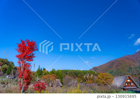 【世界遺産】紅葉真っ盛りの白川郷【岐阜県】 【世界遺産】紅葉真っ盛りの白川郷【岐阜県】 130915695