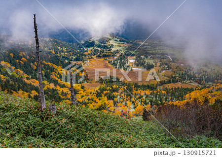 （群馬県）渋峠・日本国道最高地点から望む、紅葉期の芳ヶ平湿原 130915721