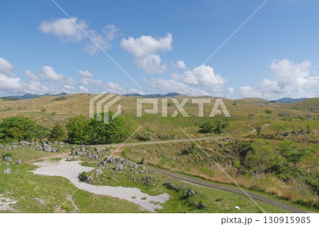 秋吉台カルスト展望台からの眺め　2025年春の枯れ草が残る秋吉台 130915985