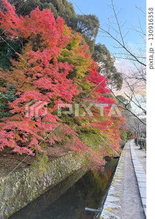 日本屈指の散歩道 京都 名勝「哲学の道」の紅葉 日本屈指の散歩道 京都 名勝「哲学の道」の紅葉 130916358
