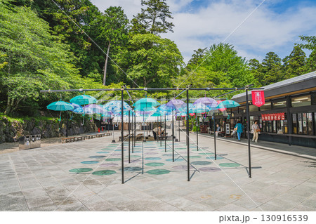 法多山尊永寺のアンブレラスカイ(静岡県) 130916539