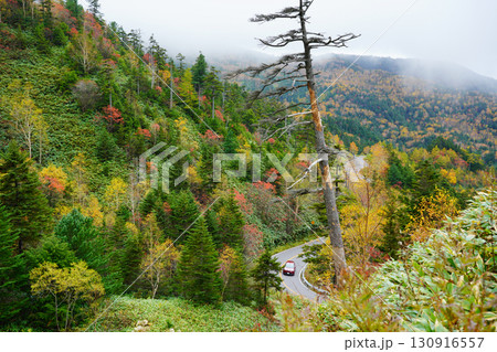（群馬県）志賀草津道路の絶景ドライブ紅葉風景 130916557