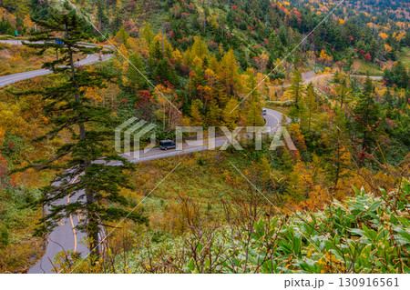 （群馬県）志賀草津道路の絶景ドライブ紅葉風景 130916561