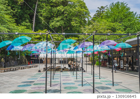 袋井市の法多山尊永寺のアンブレラスカイ(静岡県) 130916645