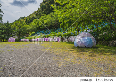 袋井市の法多山尊永寺の風景(静岡県) 130916859