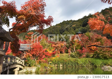 3,000本のカエデを誇る　京都随一の紅葉名所　モミジの永観堂 130917513