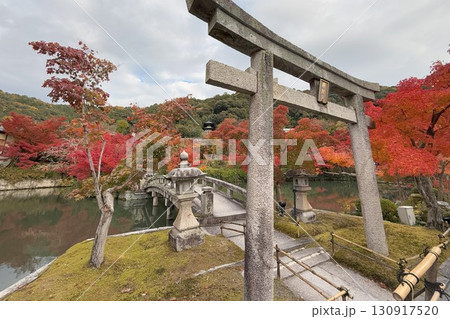 3,000本のカエデを誇る 京都随一の紅葉名所 モミジの永観堂 3,000本のカエデを誇る 京都随一の紅葉名所 モミジの永観堂 130917520