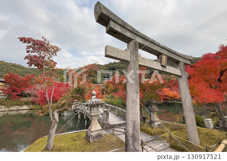 3,000本のカエデを誇る 京都随一の紅葉名所 モミジの永観堂 3,000本のカエデを誇る 京都随一の紅葉名所 モミジの永観堂 130917521