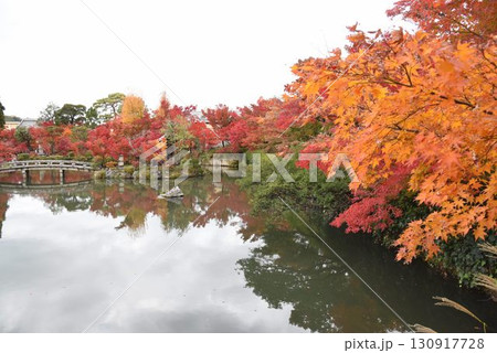 3,000本のカエデを誇る　京都随一の紅葉名所　モミジの永観堂 130917728