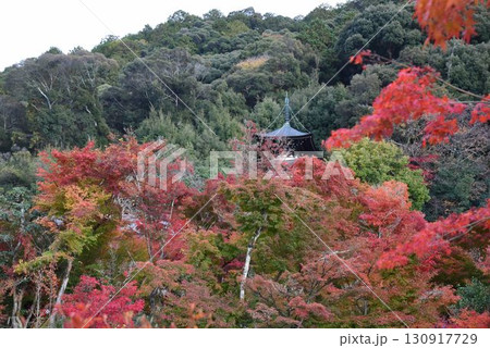 3,000本のカエデを誇る 京都随一の紅葉名所 モミジの永観堂 3,000本のカエデを誇る 京都随一の紅葉名所 モミジの永観堂 130917729
