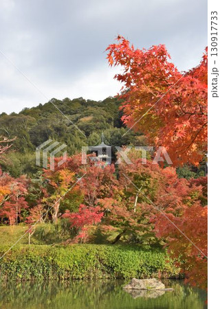 3,000本のカエデを誇る　京都随一の紅葉名所　モミジの永観堂 130917733