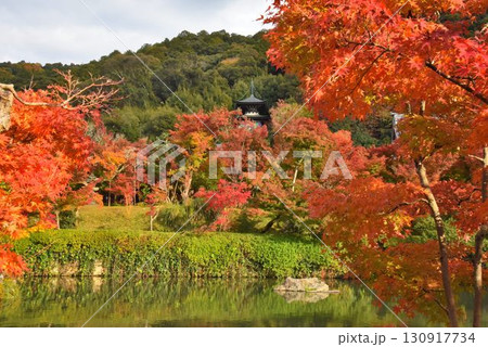 3,000本のカエデを誇る 京都随一の紅葉名所 モミジの永観堂 3,000本のカエデを誇る 京都随一の紅葉名所 モミジの永観堂 130917734
