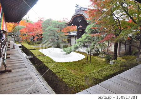 3,000本のカエデを誇る　京都随一の紅葉名所　モミジの永観堂 130917881