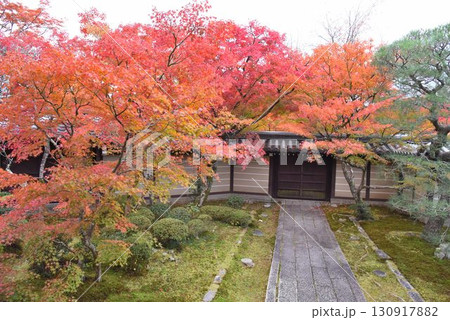 3,000本のカエデを誇る 京都随一の紅葉名所 モミジの永観堂 3,000本のカエデを誇る 京都随一の紅葉名所 モミジの永観堂 130917882