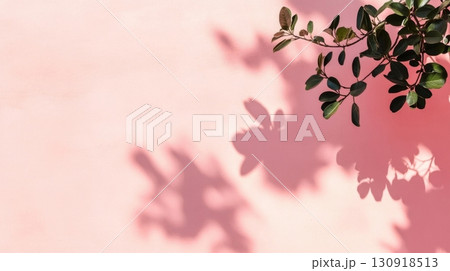 Pink Wall Leaf Shadow. 130918513