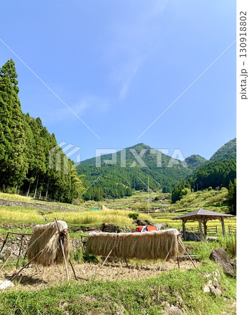 青空の鞍掛山麓に広がる棚田の秋の風景(黄金色の田んぼ・稲穂のはざ干し)〈四谷千枚田/愛知県新城市〉 130918802